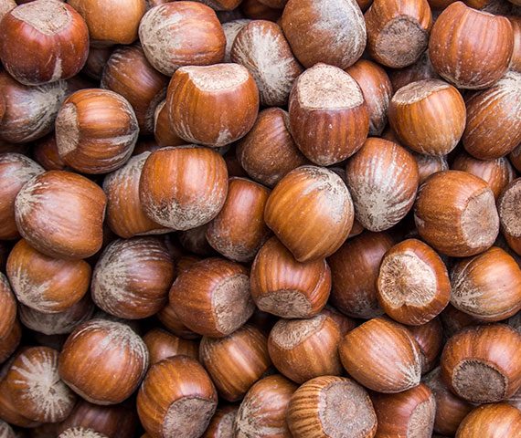 Hazelnuts