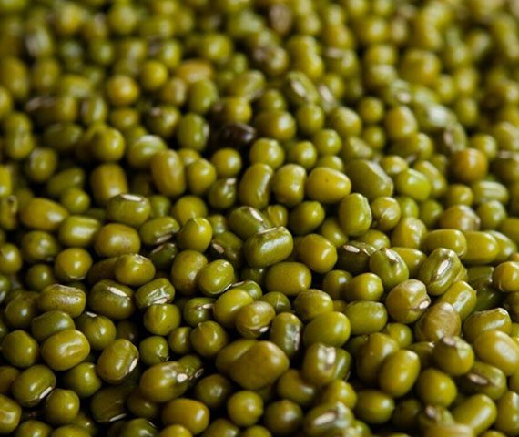 Mung-Beans