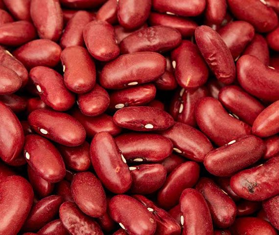 Red-Kidney-Beans