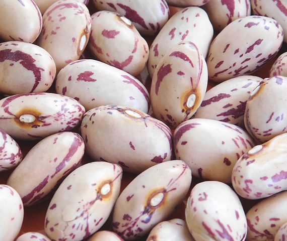 Speckled-Kidney-Beans