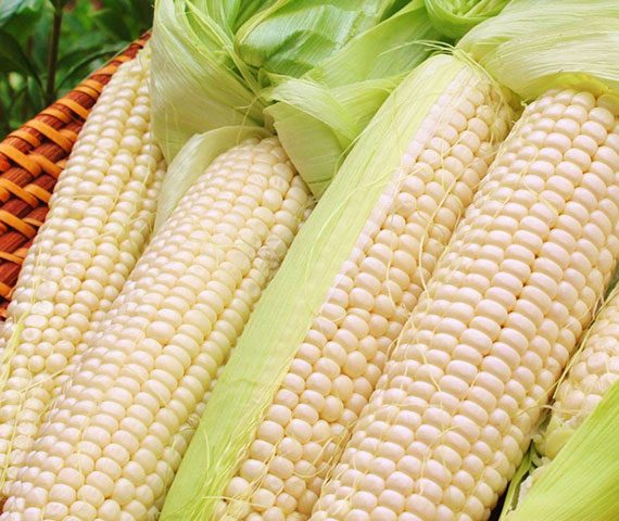 White-Corn