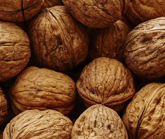 walnuts