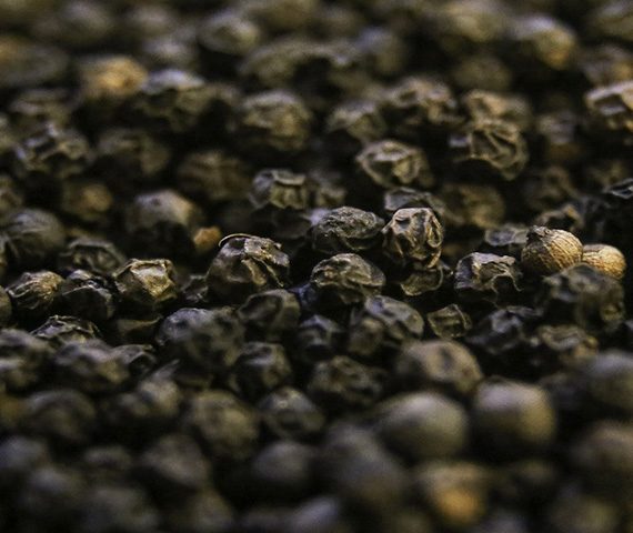 Black-Pepper