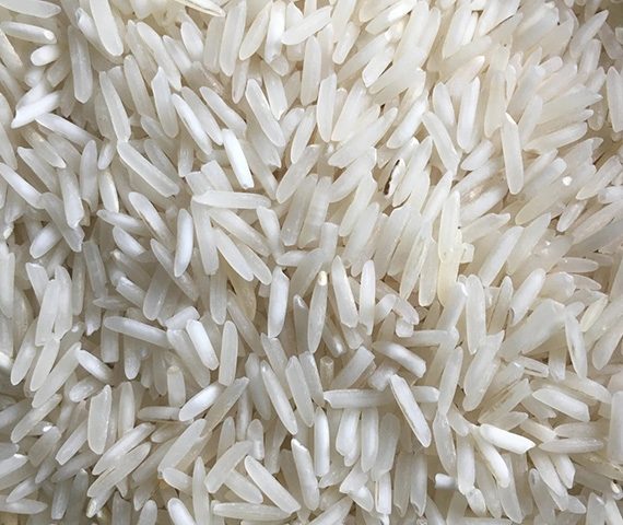 Rice