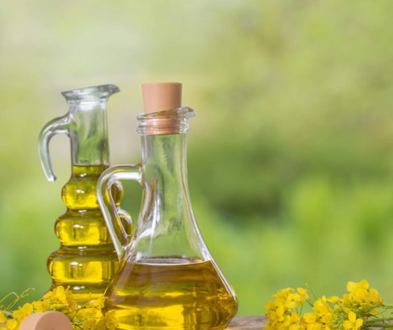 canola-oil